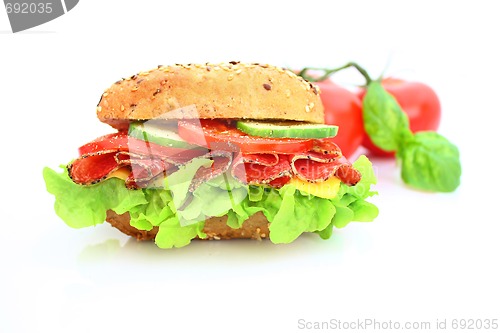 Image of Fresh sandwich with salami cheese and vegetables