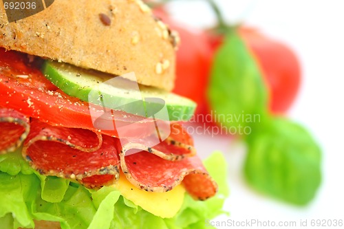 Image of Fresh sandwich with salami cheese and vegetables