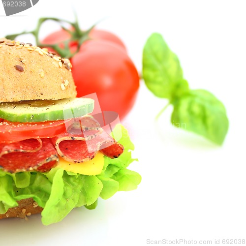 Image of Fresh sandwich with salami cheese and vegetables