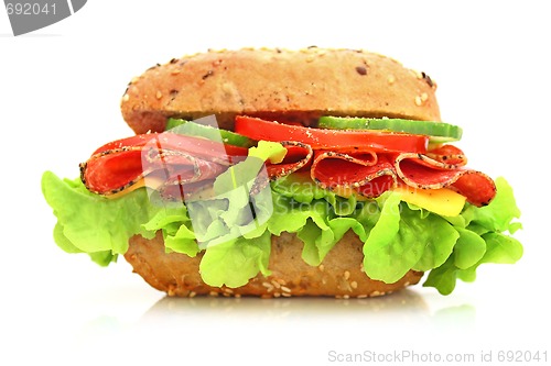 Image of Fresh sandwich with salami cheese and vegetables