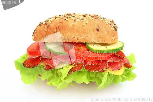 Image of Fresh sandwich with salami cheese and vegetables