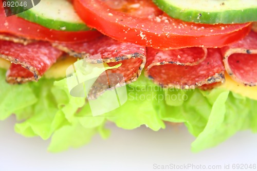 Image of Fresh sandwich with salami cheese and vegetables