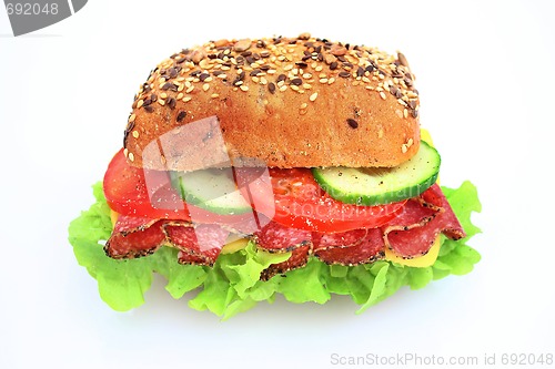 Image of Fresh sandwich with salami cheese and vegetables