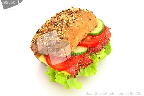 Image of Fresh sandwich with salami cheese and vegetables