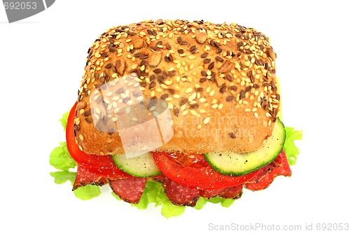 Image of Fresh sandwich with salami cheese and vegetables