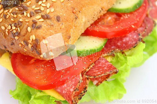 Image of Fresh sandwich with salami cheese and vegetables