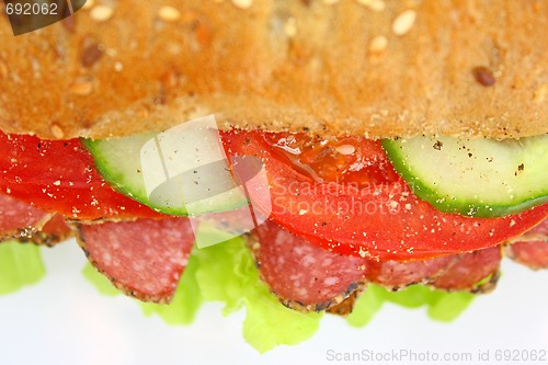 Image of Fresh sandwich with salami cheese and vegetables