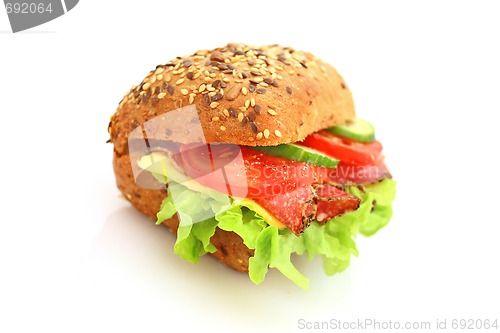 Image of Fresh sandwich with salami cheese and vegetables