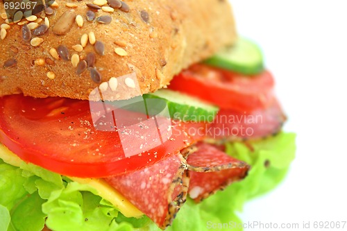 Image of Fresh sandwich with salami cheese and vegetables