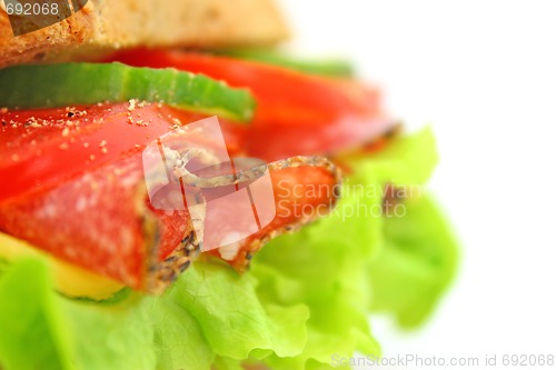 Image of Fresh sandwich with salami cheese and vegetables