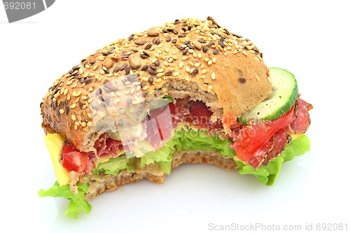 Image of Fresh sandwich with salami cheese and vegetables