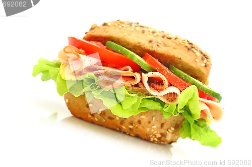 Image of Fresh sandwich with ham and cheese and vegetables