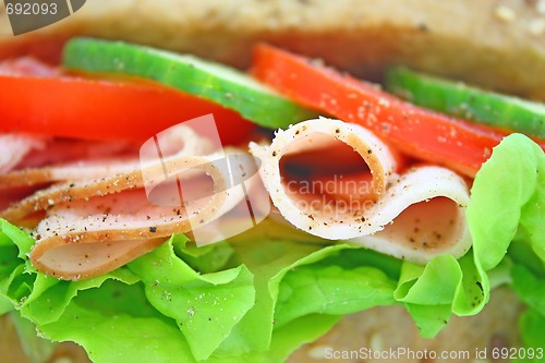 Image of Fresh sandwich with ham and cheese and vegetables