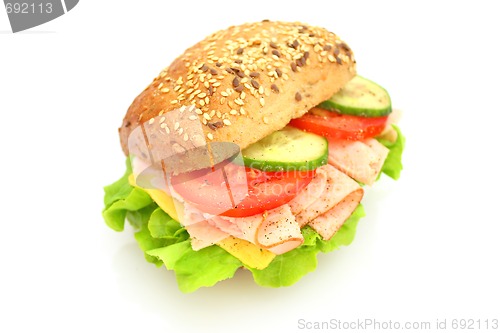 Image of Fresh sandwich with ham and cheese and vegetables