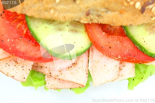 Image of Fresh sandwich with ham and cheese and vegetables