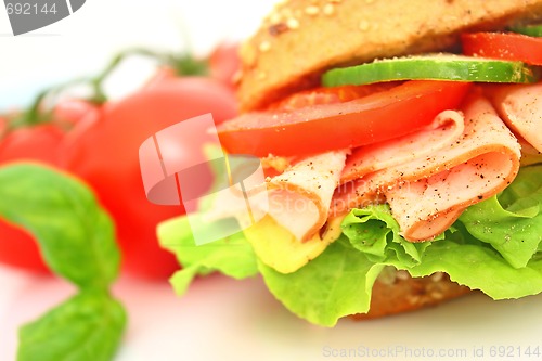 Image of Fresh sandwich with ham and cheese and vegetables