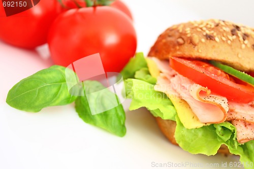 Image of Fresh sandwich with ham and cheese and vegetables