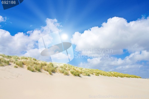Image of Beach and dunes with beautiful sunlight