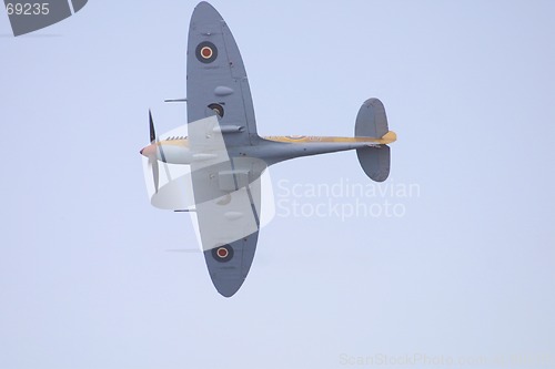 Image of Spitfire