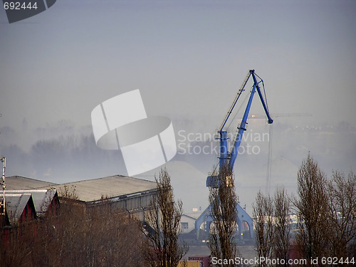 Image of Blue Crane
