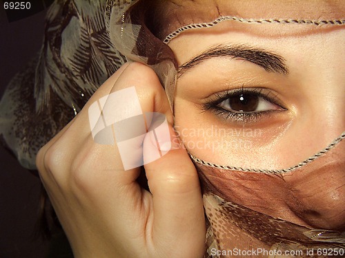 Image of Hidden Face