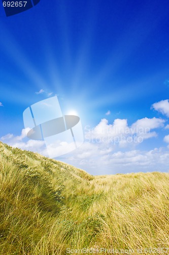 Image of Idyllic dunes with sunlight