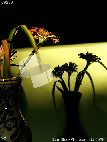 Image of Flower in vase & Shadow on wall