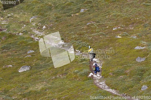 Image of Tourists hiking