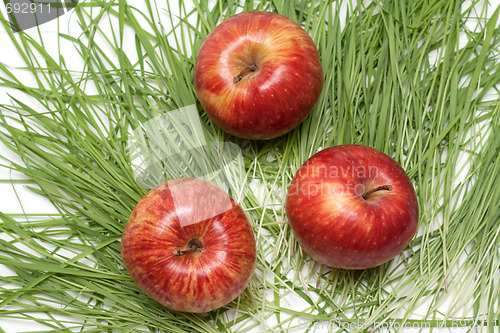 Image of Three red apples, green herb