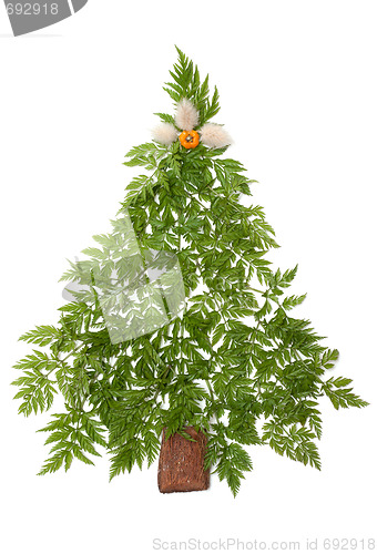 Image of Decorative cristmas spruce