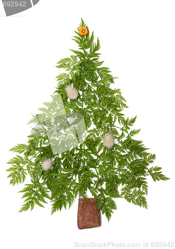 Image of Decorative cristmas spruce