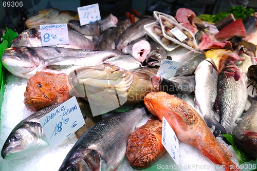 Image of Fish Market