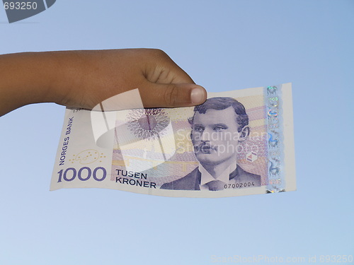 Image of hodling norwegian bill