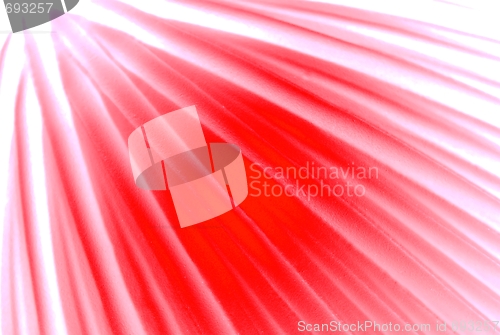 Image of Red background