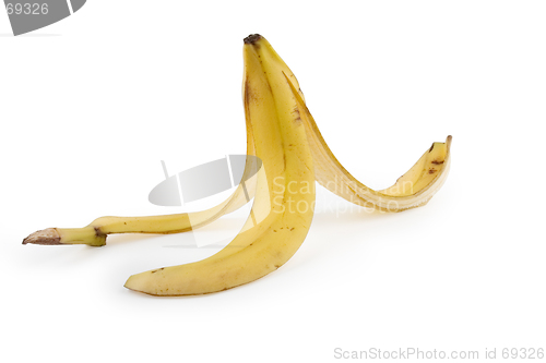 Image of Banana Trap