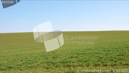 Image of Field