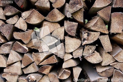 Image of Logpile