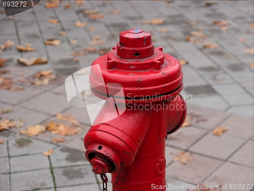 Image of Hydrant