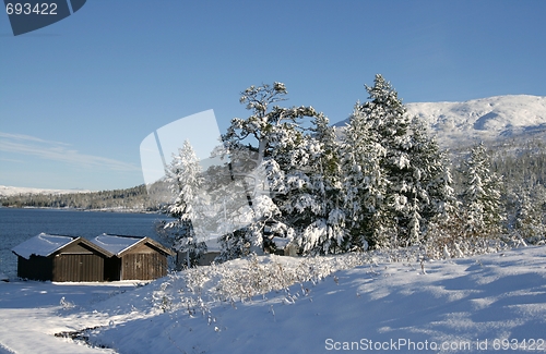 Image of Winter lake