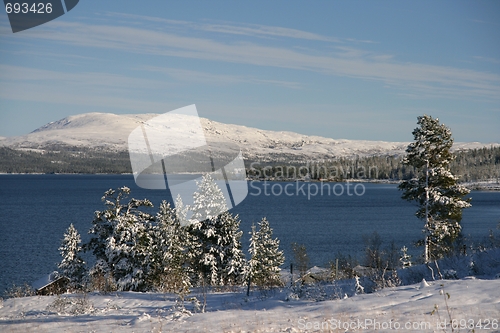 Image of Winter lake