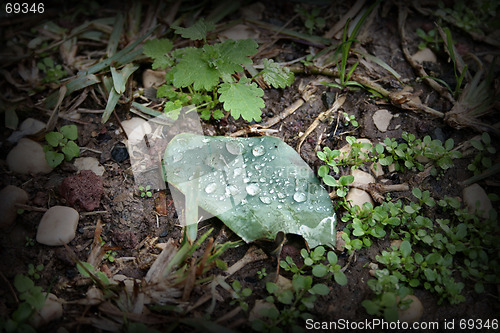 Image of leaf on ground with rain drops