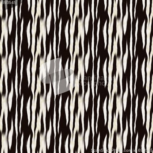 Image of Zebra Stripes Pattern