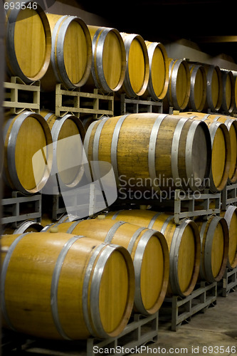 Image of Winery Cellar Barrels