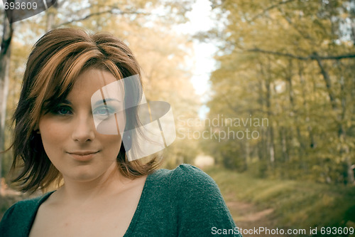 Image of Path Through the Woods