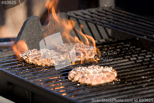 Image of Flaming Hamburgers