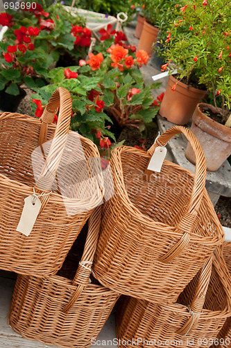 Image of Baskets with blank labels in a flower shop