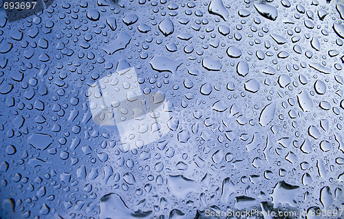 Image of Water Droplets