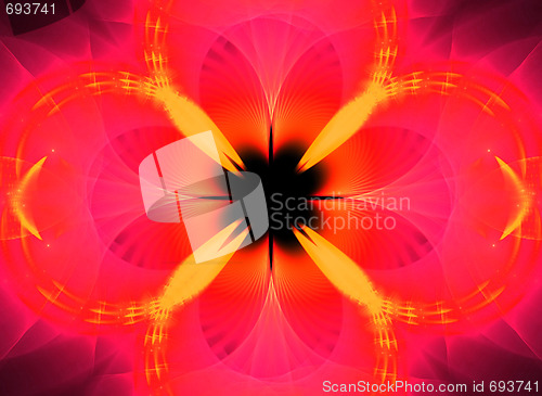 Image of Tulip Fractal Texture