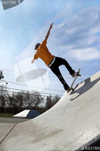 Image of Skateboarder at the Skate Park
