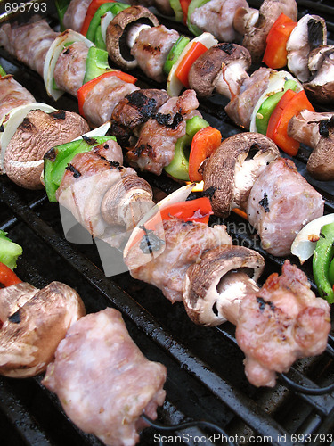 Image of Shish Kebabs on the Grill